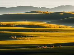 -塞罕坝国家级自然保护区