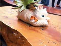 -鞠婆婆•绵绵冰•凉糕•手工冰粉(苏稽一店)