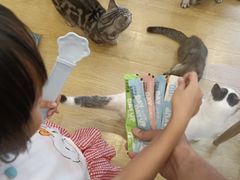 -猫咪派对(江南西店)