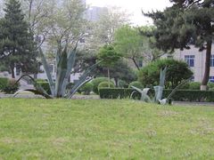 -辽宁大学(崇山校区)
