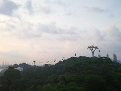 -圣淘沙天际线斜坡滑车