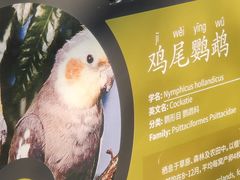 -无锡动物园·太湖欢乐园