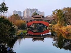 -三垟湿地
