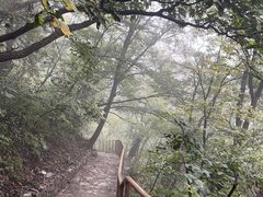 -北京上方山国家森林公园