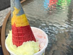 -柠檬车露(卖草地店)