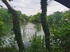 -木守西溪溪隐餐厅
