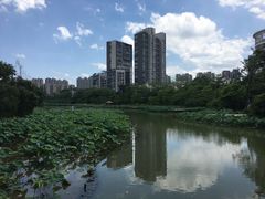 -金山公园
