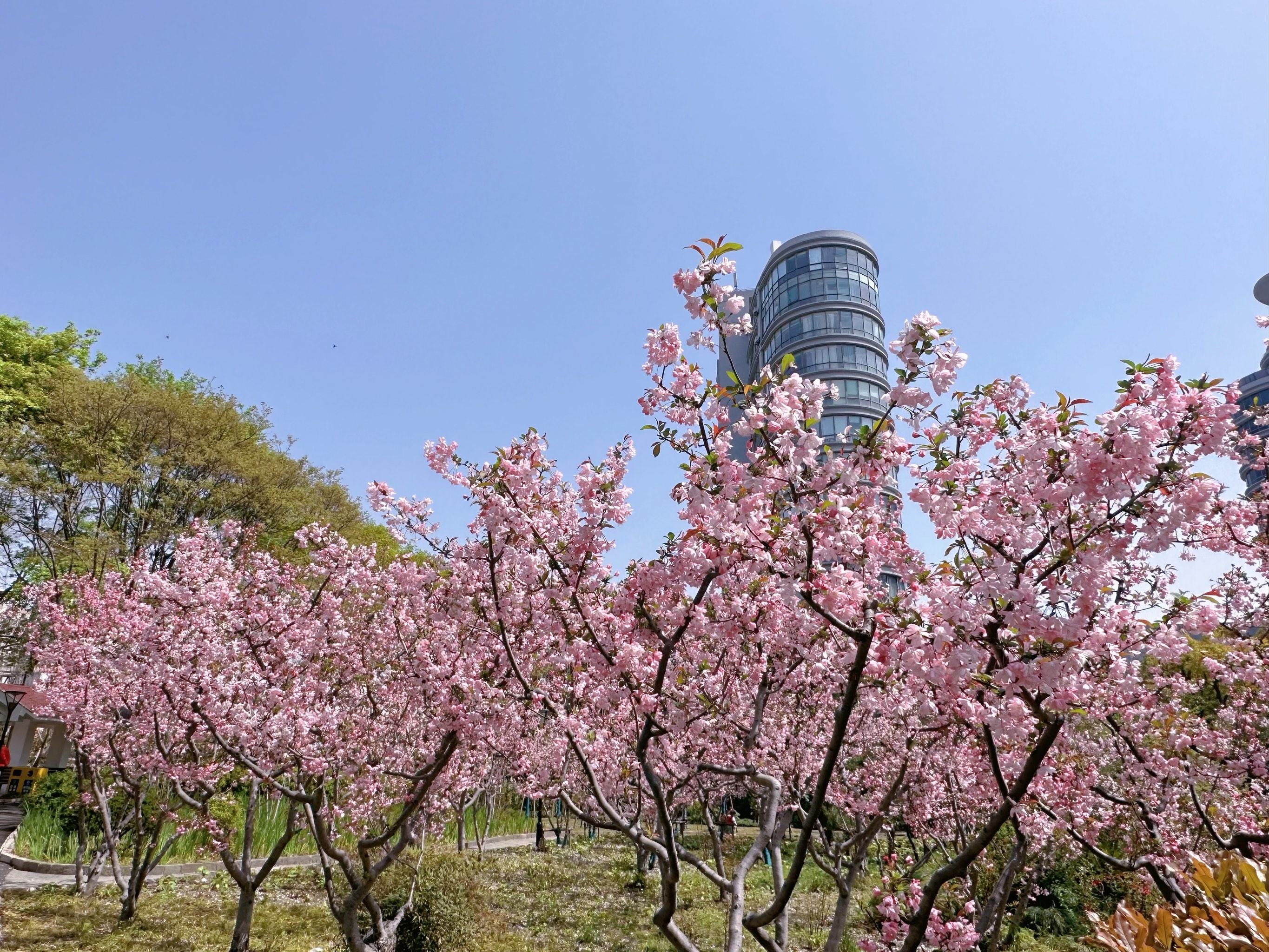 管弄公园图片