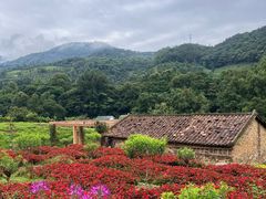 -广州市石门国家森林公园