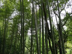 -南山风景名胜区