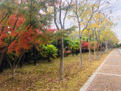 -太阳岛度假酒店