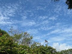 -华侨城湿地公园