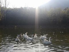 -西安秦岭野生动物园