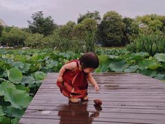 -美兰湖景区