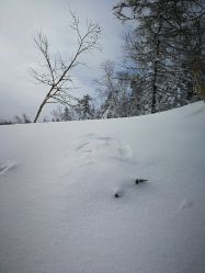-大秃顶子山