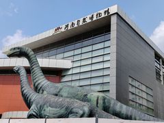 -河南自然博物馆