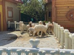 -郑州银基国际旅游度假区