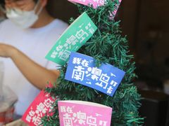 -南澳岛打卡果汁冰公司