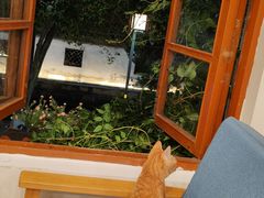 -猫的天空之城概念书店(苏州平江店)