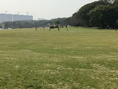 -昆山城市生态森林公园