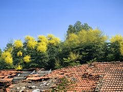 -青龙山国家森林公园
