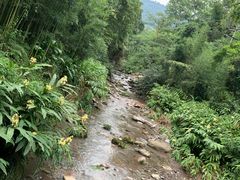 -峨眉山报国寺