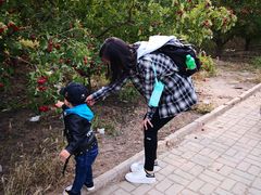 -万源龙顺度假庄园生态观光园