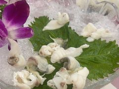 -吉源大排档·鱼生·海鲜(烧烤彩印厂店)