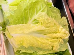 -爱膳菌锅锅(阳南店)