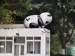 -成都中医药大学(温江校区)