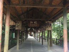 -海南槟榔谷黎苗文化旅游区