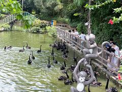 -深圳野生动物园