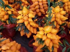 -龙大花卉苗木市场