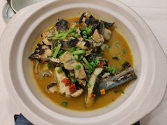 -饭怕鱼·黄焖鲟龙鱼(湖大店)