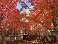 -辽宁大学(崇山校区)