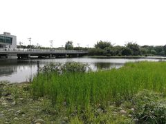 -四川大学(江安校区)