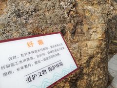 -羚羊峡古栈道森林公园