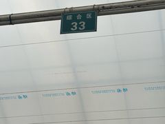 -龙大花卉苗木市场