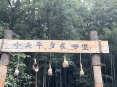 景点-石燕湖生态旅游景区