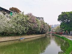-荔湾湖公园