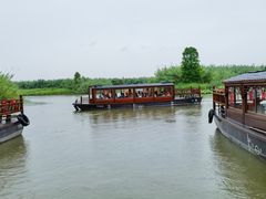 -宁波杭州湾国家湿地公园