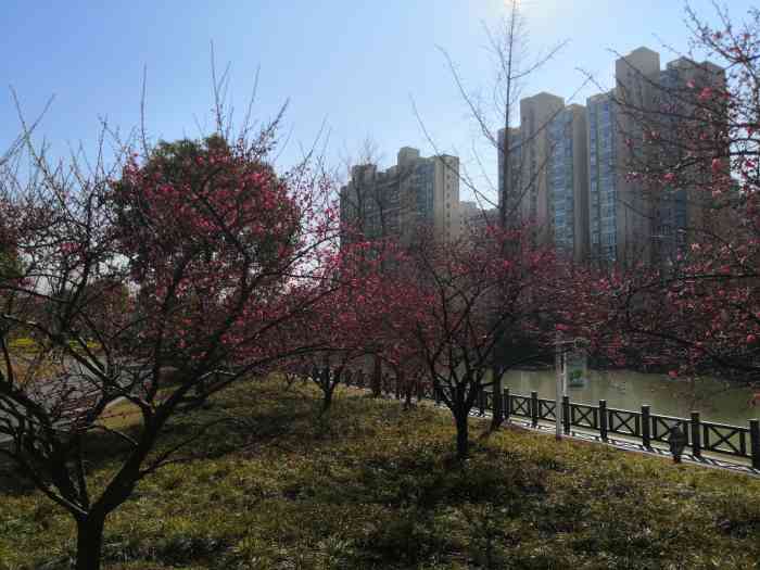 上海高行老街公园规划图片