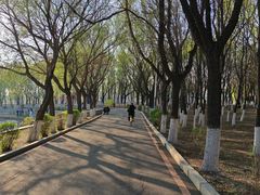 -丁香湖公园