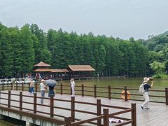 -采石矶景区