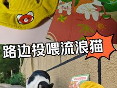 -瑞虹新天地月亮湾