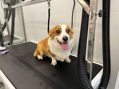 -comecome来吧宠物(奥克斯中心店)