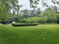 -棒棰岛宾馆景区