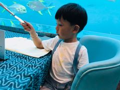 -瑞德姆美人鱼海底演艺主题餐厅(亚龙湾店)