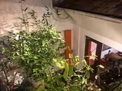 -Cuc Gach Quan Restaurant