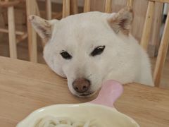 -柴の食堂·日式家庭料理·熊之肆(大学路店)